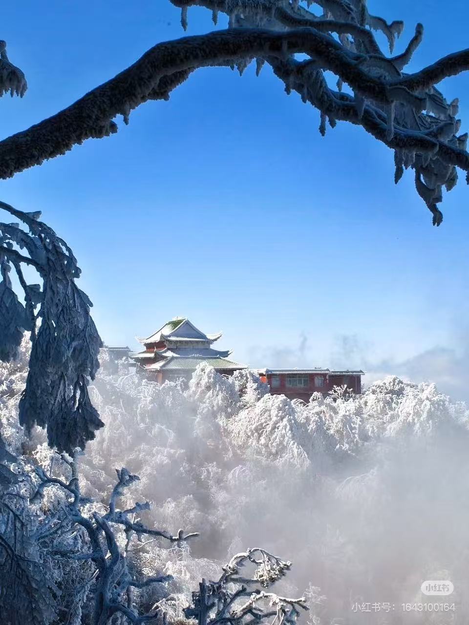 郴州租車/包車23座