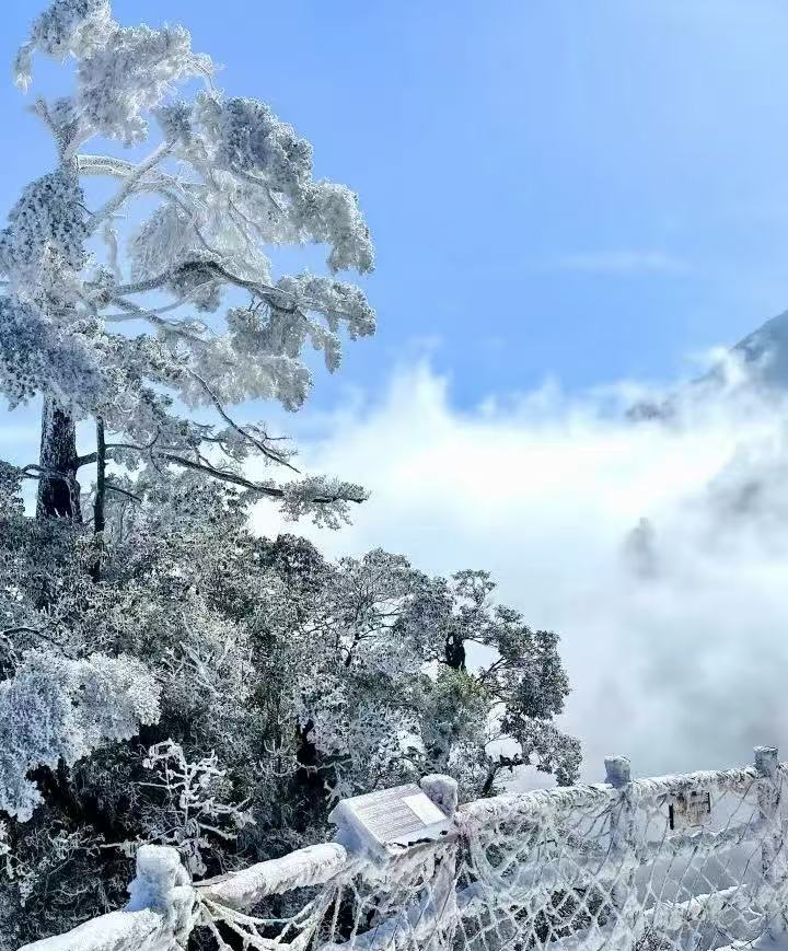 郴州旅游租車39座